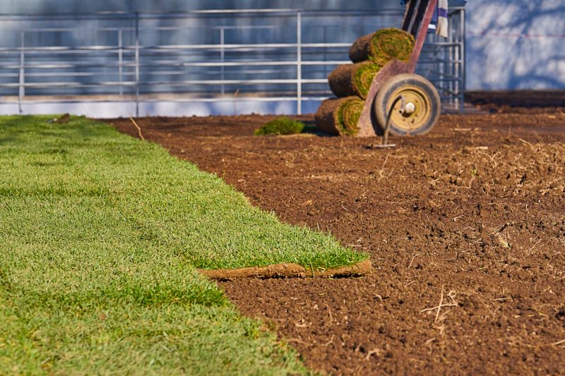 Sod Installation in Rockwall, TX