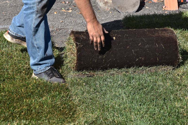 Sod Repair