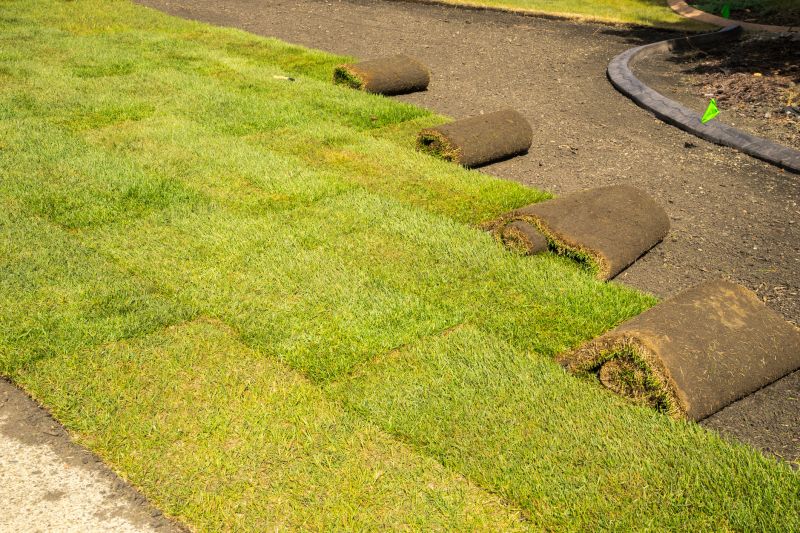 Bentgrass Sod Installation in Aiken, SC
