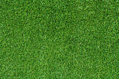 Commercial Sod Installation in Aiken, SC