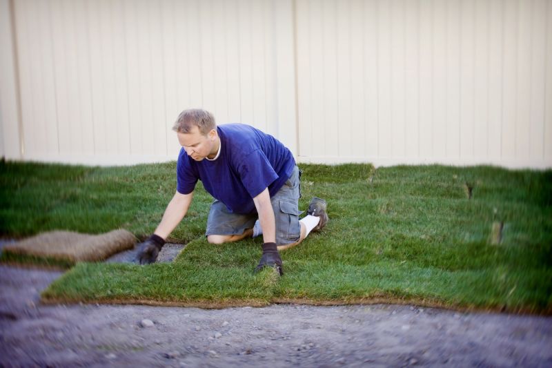 Sod Repair