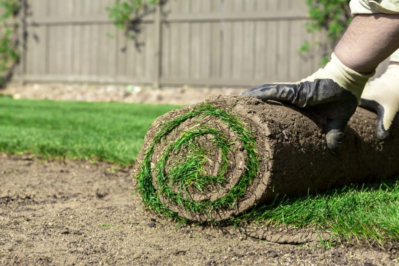 Fescue Sod Installation in Rockwall, TX