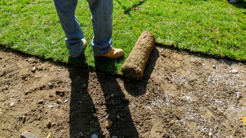 Sod Repair detail