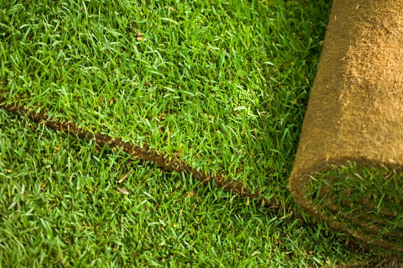 Sod Repair detail