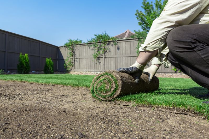 Sod Repair detail