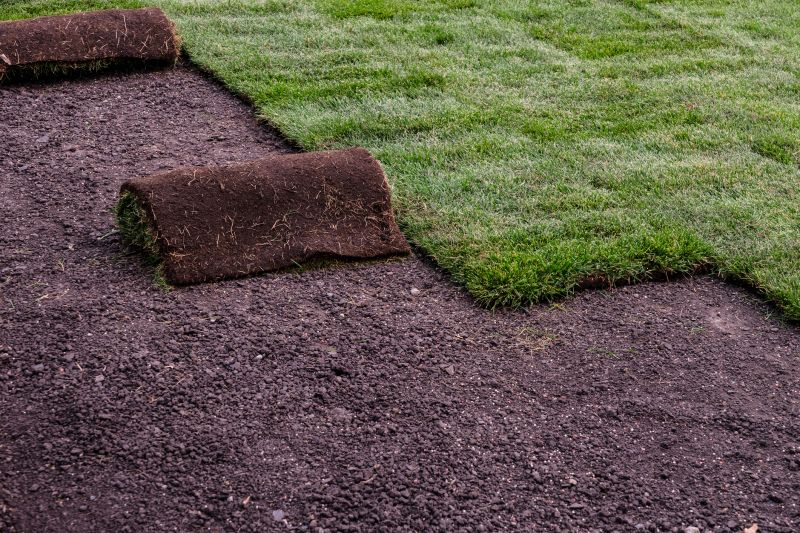 Sod Laying Service