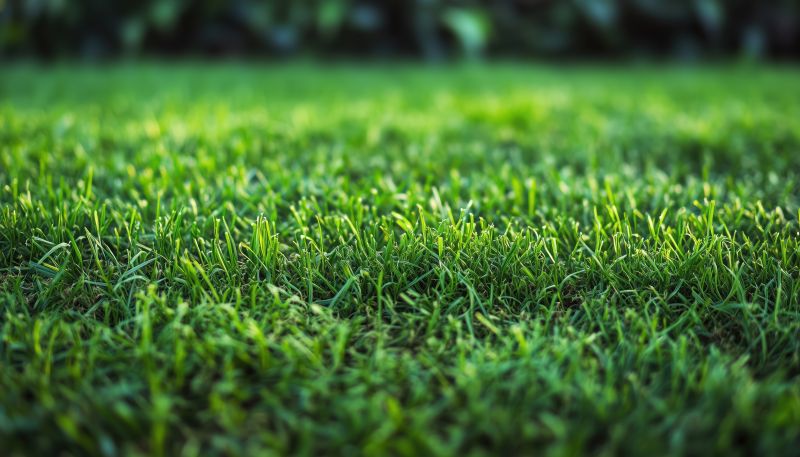 Lawn Installation in Rockwall, TX