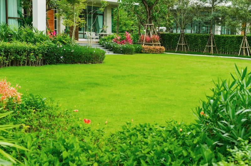 Lawn Replacement in Ventura County, CA