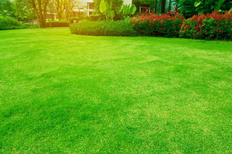 Lawn Replacement in Honolulu, HI