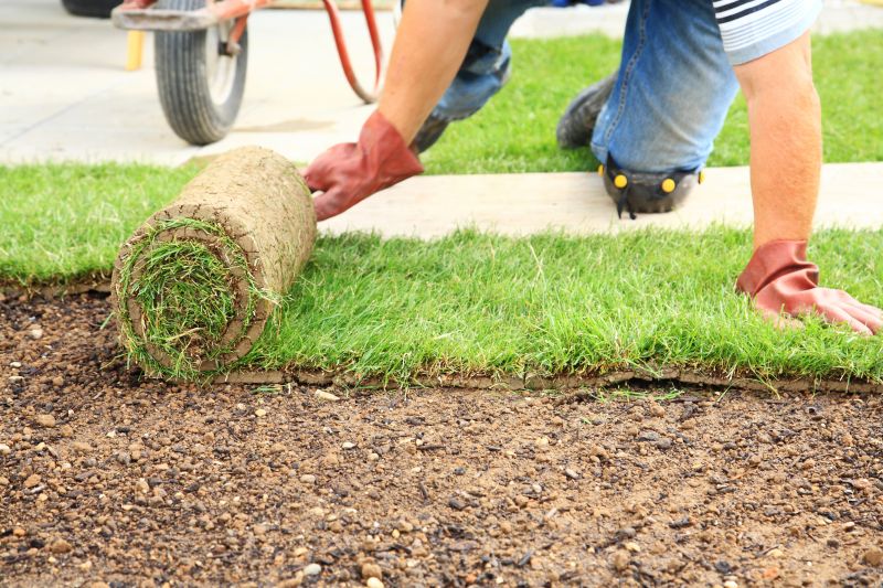 Sod Installation in Rockwall, TX