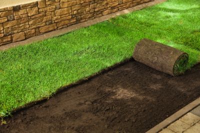 Sod Landscaping in Ventura County, CA