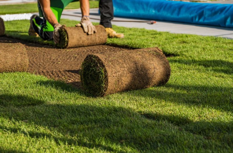 Sod Laying Service in Rockwall, TX