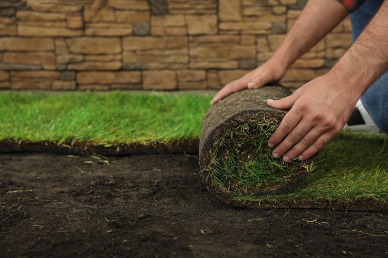 Sod Replacement in Rockwall, TX