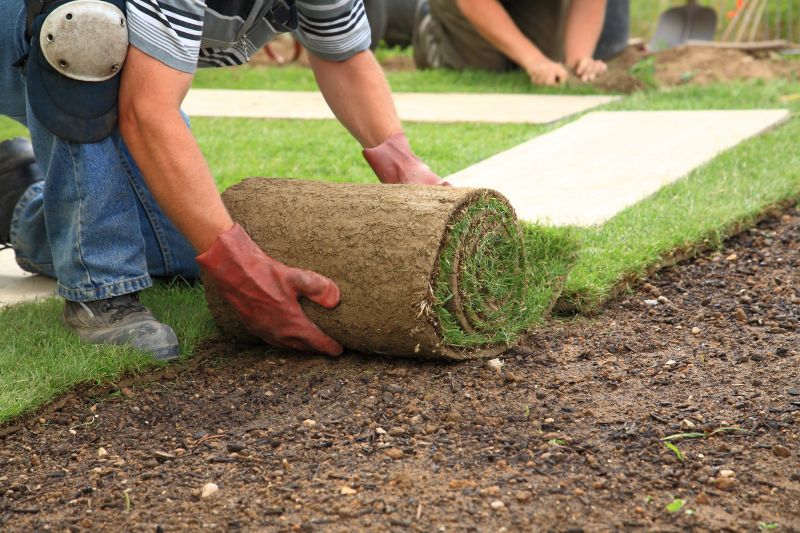 Zoysia Grass Installation in Rockwall, TX